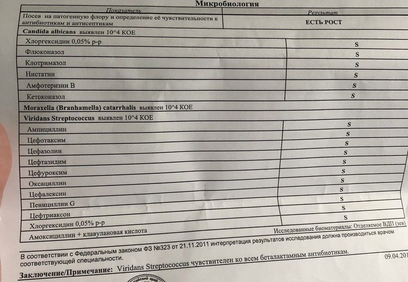 Когда будет выставка садовод и фермер Когда будет выставка садовод и фермер
