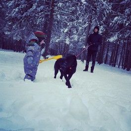 Возвращение или скучный ПОЗЗИТИВНЫЙ пост ( а скучный потому что позитивный) Возвращение или скучный ПОЗЗИТИВНЫЙ пост ( а скучный потому что позитивный)