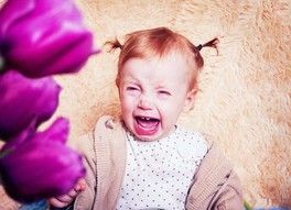 Все в кучу Все в кучу