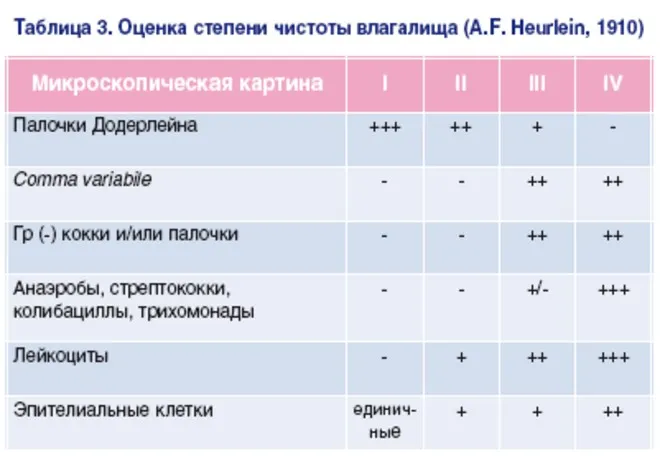 Lactobacillus spp у женщин: что это? Lactobacillus spp у женщин: что это?