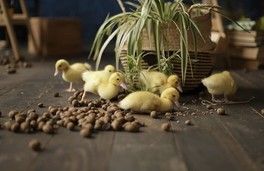 Ищу модель Москва для весенней съёмки Стоимость 2.000 Ищу модель Москва для весенней съёмки Стоимость 2.000