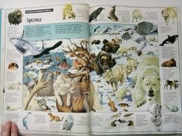 5 волшебных книг, которые... 5 волшебных книг, которые...
