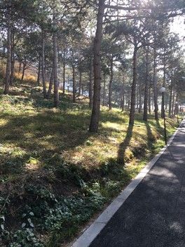 Наша прогулка🍂🍁😊 Наша прогулка🍂🍁😊