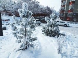 Любви Вам 😍 Любви Вам 😍