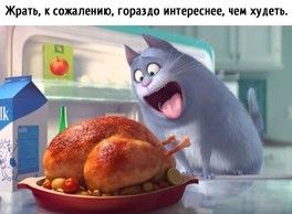 Доброе дождливое утро Доброе дождливое утро