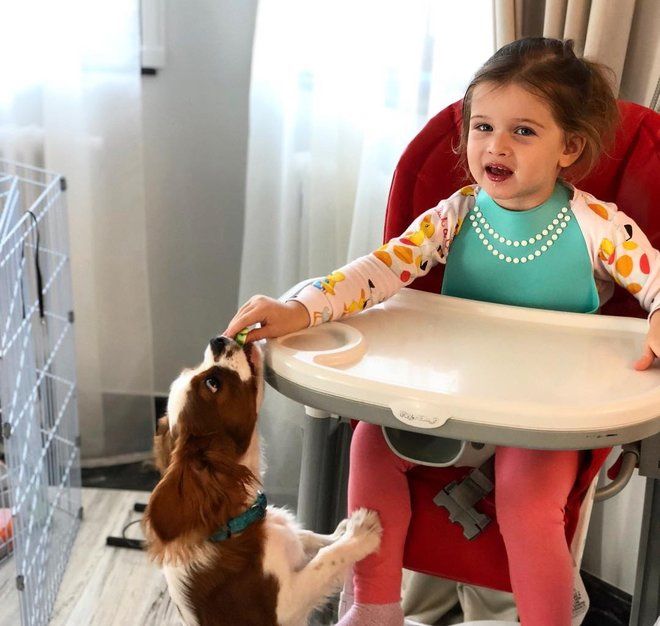Видео: 3-летняя дочь Ксении Бородиной научилась читать