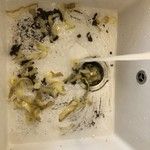 Чаинки из чайника, корки арбуза, очистки кальмара и рыбы, остатки пищи, шелуха и кожура с овощей и фруктов, рыбьи остатки ... к…