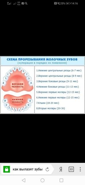 Вопрос про зубы и как не застрелиться? Вопрос про зубы и как не застрелиться?