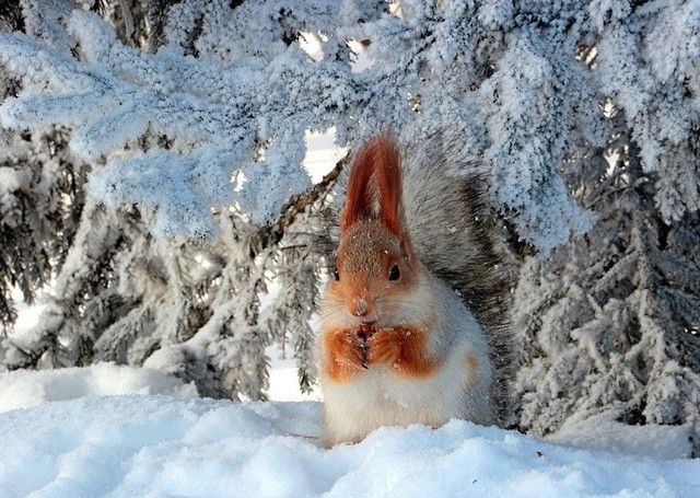 2019 ФЕВРАЛЯТА 2019 ФЕВРАЛЯТА