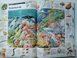 5 волшебных книг, которые... 5 волшебных книг, которые...