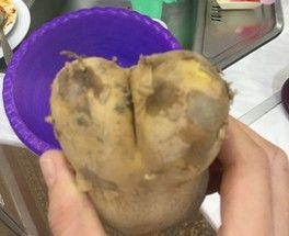 Голосование за фото - конкурс "Необычный урожай" Голосование за фото - конкурс "Необычный урожай"