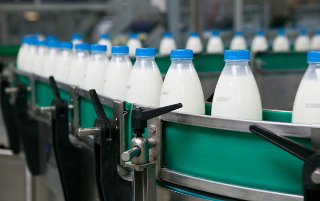 Из чего делают молочные продукты