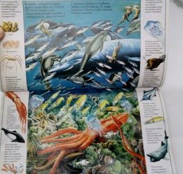 5 волшебных книг, которые... 5 волшебных книг, которые...