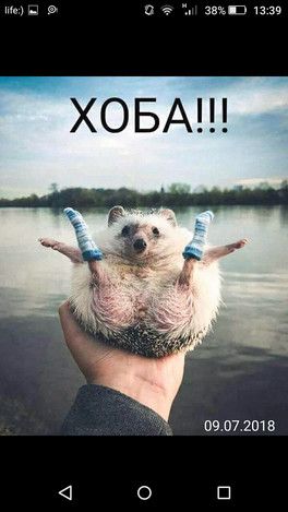 Родила!!!! Я - мамка с яйцами!!! Родила!!!! Я - мамка с яйцами!!!