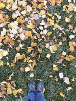 Осень 🍂 Немного обо мне и о семье ) Осень 🍂 Немного обо мне и о семье )