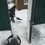 Открыли зимний шашлычнинг.