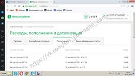 ДОМРАЧЕВ ДАНИИЛ ОТЧЕТ О СОБРАННЫХ СРЕДСТВАХ за 25.01.2019 - 28.01.2019 ДОМРАЧЕВ ДАНИИЛ ОТЧЕТ О СОБРАННЫХ СРЕДСТВАХ за 25.01.2019 - 28.01.2019