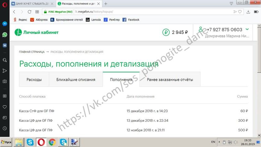 ДОМРАЧЕВ ДАНИИЛ ОТЧЕТ О СОБРАННЫХ СРЕДСТВАХ за 25.01.2019 - 28.01.2019