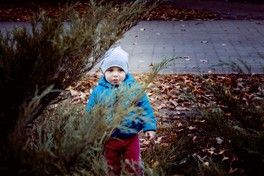 🍂Наша Осень🍁 🍂Наша Осень🍁