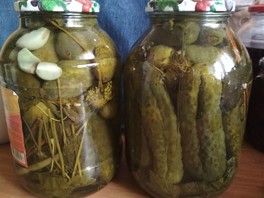 Мои первые засолки и варенья Мои первые засолки и варенья