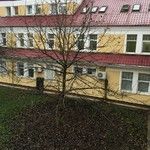 Последние дни в БСМП