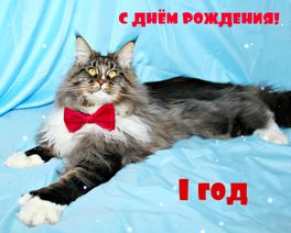 Сопли 2 и новости Сопли 2 и новости