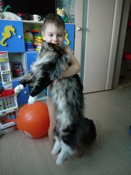 Сопли 2 и новости Сопли 2 и новости
