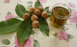 Грецкий орех: Народная медицина Грецкий орех: Народная медицина