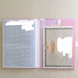 Первые документы. Первые документы.