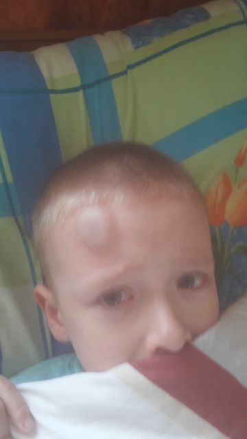 Что делать???? Что делать????