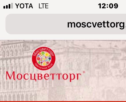 Москва доставка цветов Москва доставка цветов