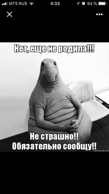 Заказ картинки, картинки приколы что еще не родила