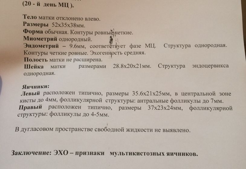 Можно ли забеременеть от смазки. Количество антральных фолликулов. УЗИ антральных фолликулов. Нормальное количество антральных фолликулов. Количество антральных фолликулов норма.